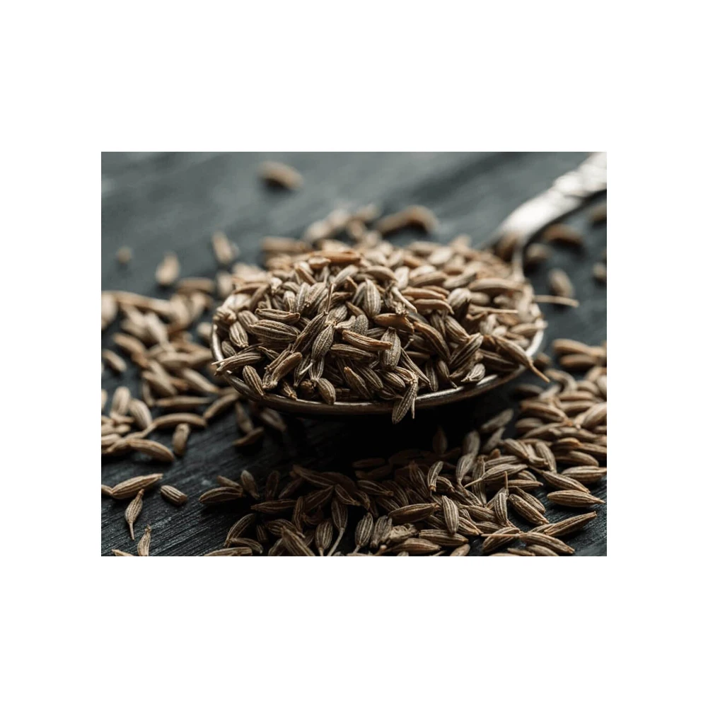 Лидер продаж семена кумина лучшего качества для продажи по низкой