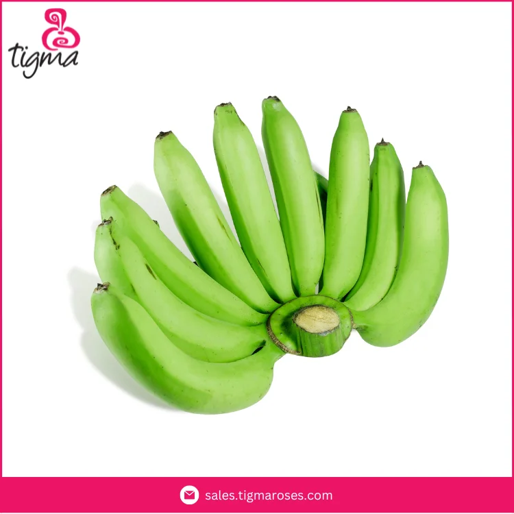 Wholesale High Quality Harvested Organic Green Cavendish Banana from Ecuador at Factory Price