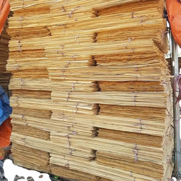 wood core China market eucalyptus and acacia for making paper core veneer