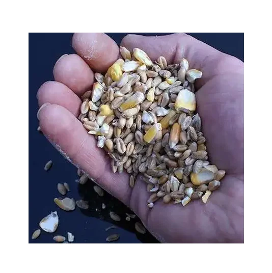 Wholesale Dealer Of Cheapest Price rganic Starter-Grower Crumbles / Mash Poultry Feed / Chick Feed