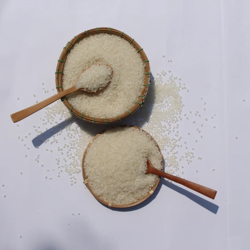 Оптовая продажа высококачественного короткозернового риса белого цвета Japonica Rice ds1 от лучшего поставщика из Вьетнама