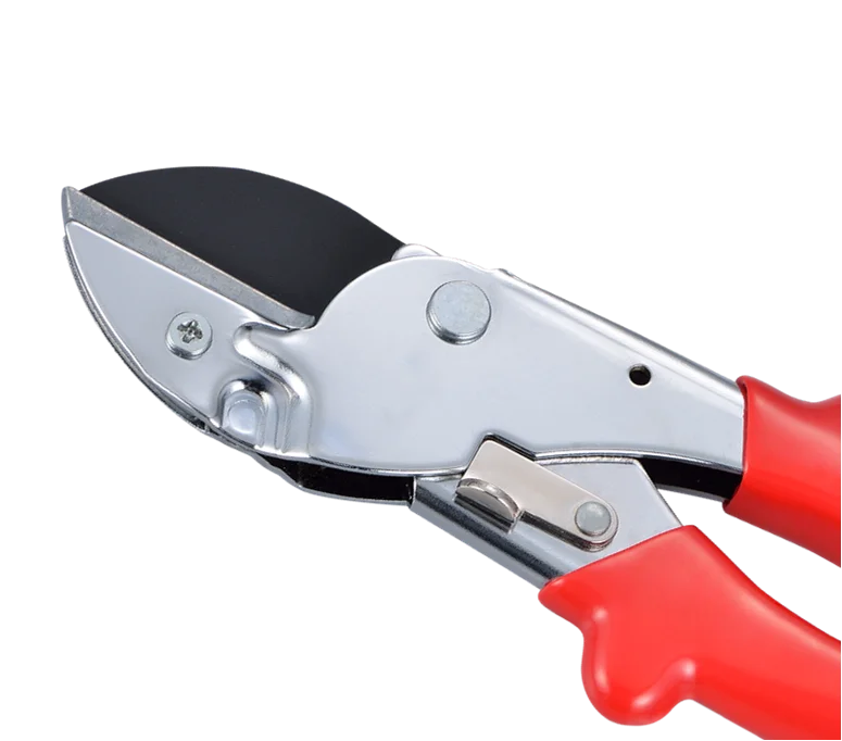 pruning scissors