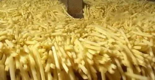 Органический выращиваемый замороженный картофель-фри