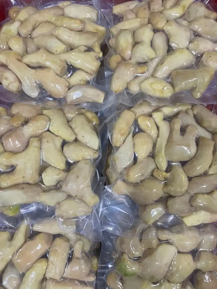 High Quality Delicious Frozen Ginger Fruits and Vegetables from Vietnamese Manufacturer Packaged in Bulk for minus18C Storage