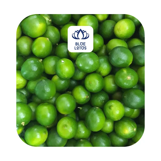 Fresh Seedless Lime Fresh Fruit