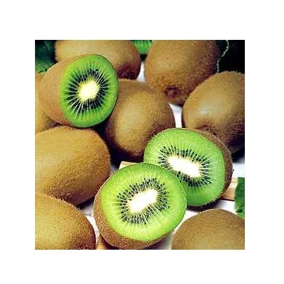 Best Quality Hot Sale Price Fresh Kiwi Fruits