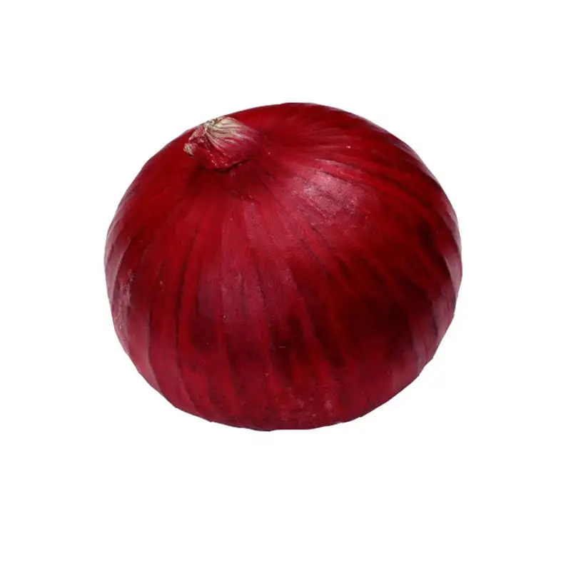 Wholesale Fresh oignons Shallot Peeled Onion Red Yellow White Organic Onion