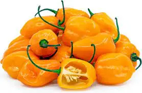 Wholesale Organic  Fresh Peppers yellow Fresh / Red and Green Chilli Pepper for sale