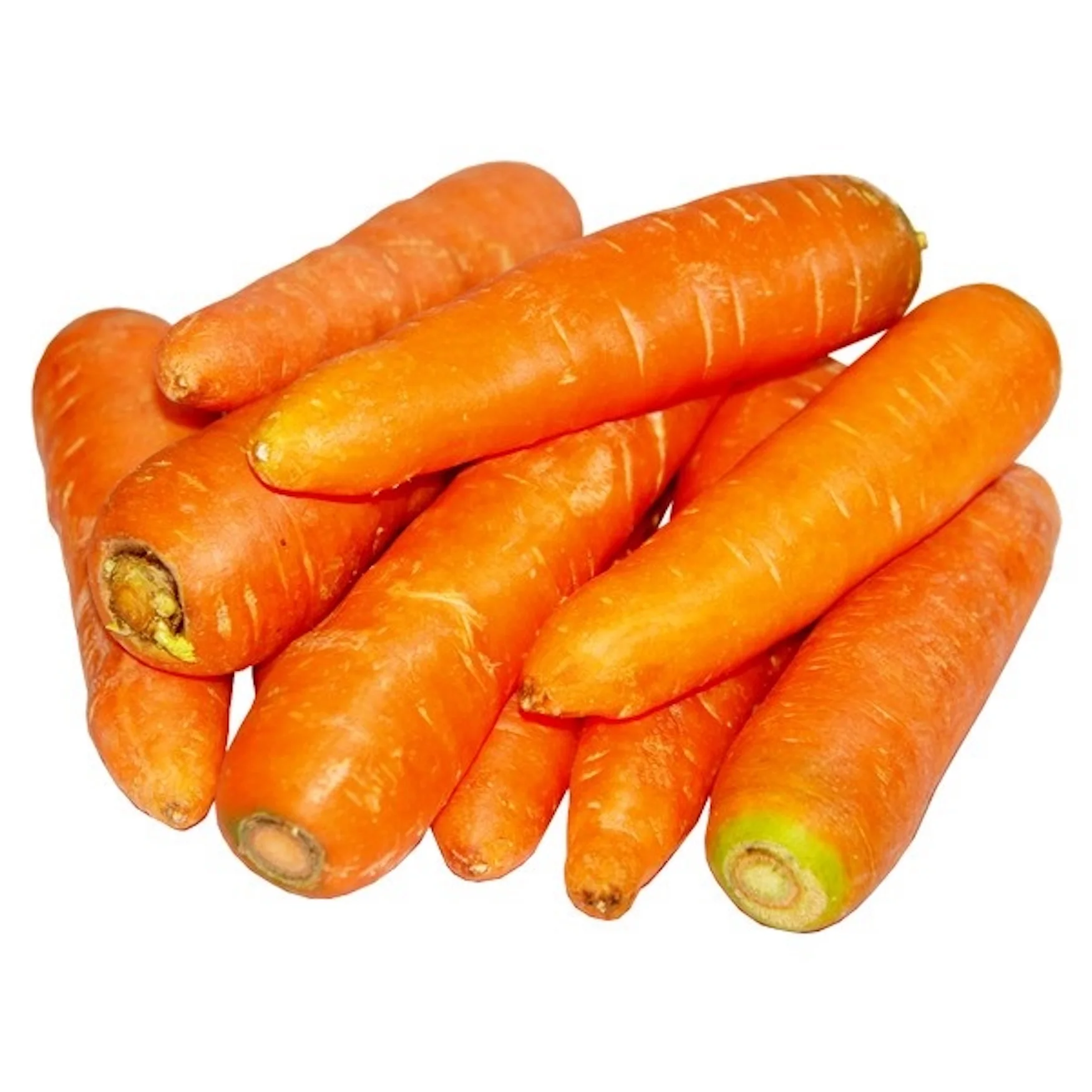 High Quality Fresh Carrots Fresh 100% For Sales