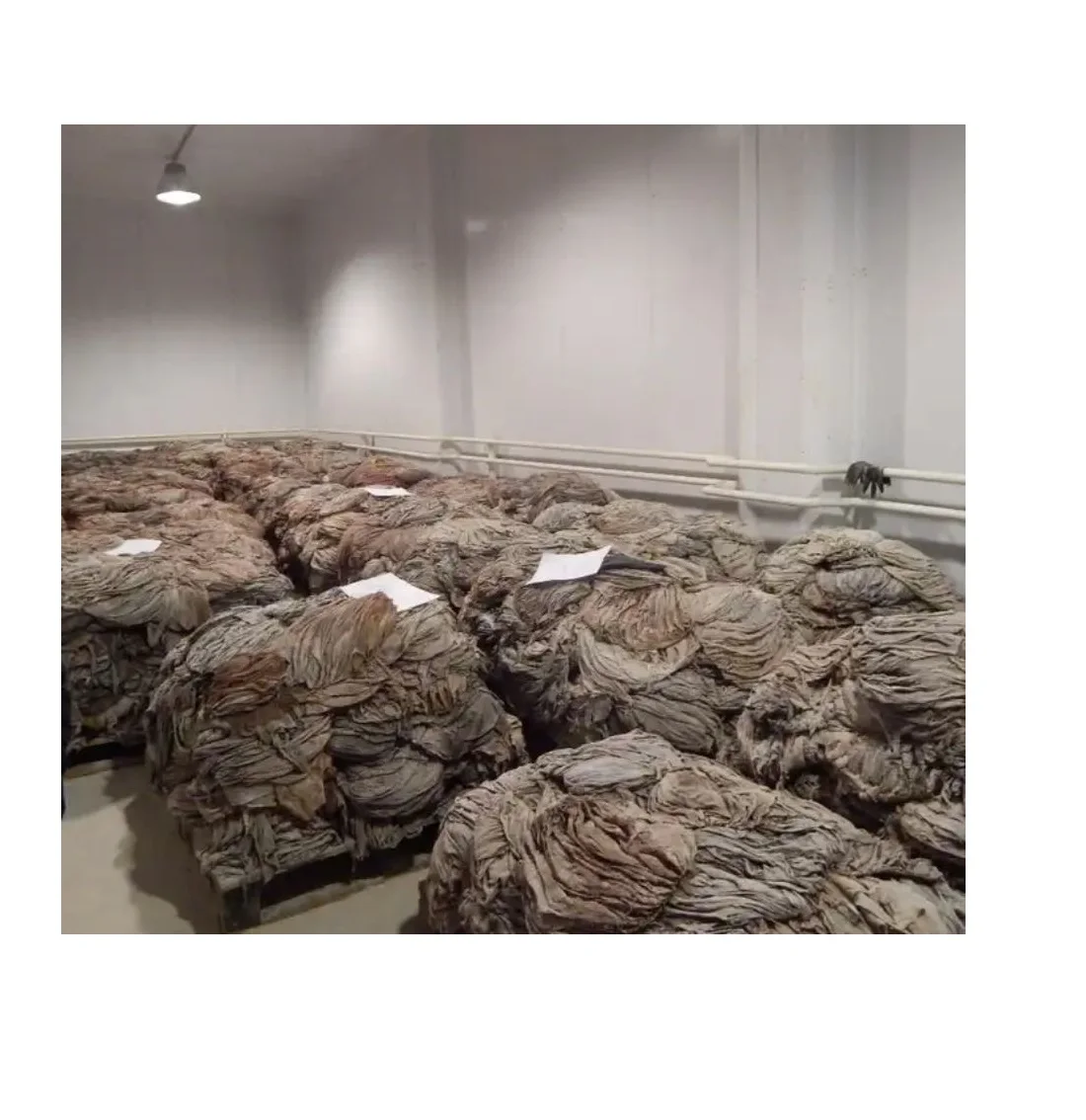 Buy Frozen Salted Beef Omasum Direct from Supplier Best Price and High-Quality Beef for Restaurant or Retail