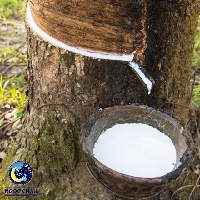 Natural Rubber Latex HA 60% DRC Liquid Latex Raw Material for latex products high quality NR
