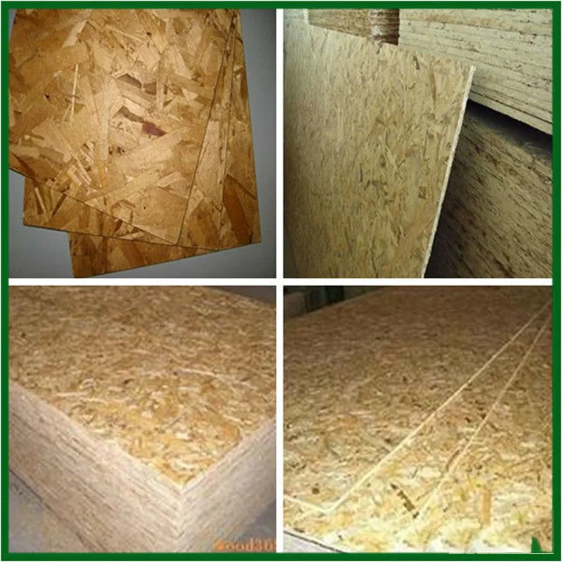 Wholesale Sip panel osb 3 board floor tongue estructural 18 mm platten in china OSB for construction