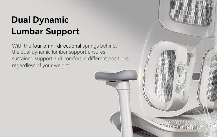 SIHOO S100 full mesh Breathable Mesh Design High Back Computer Chair 4D Armrests Home Office Smart Chair