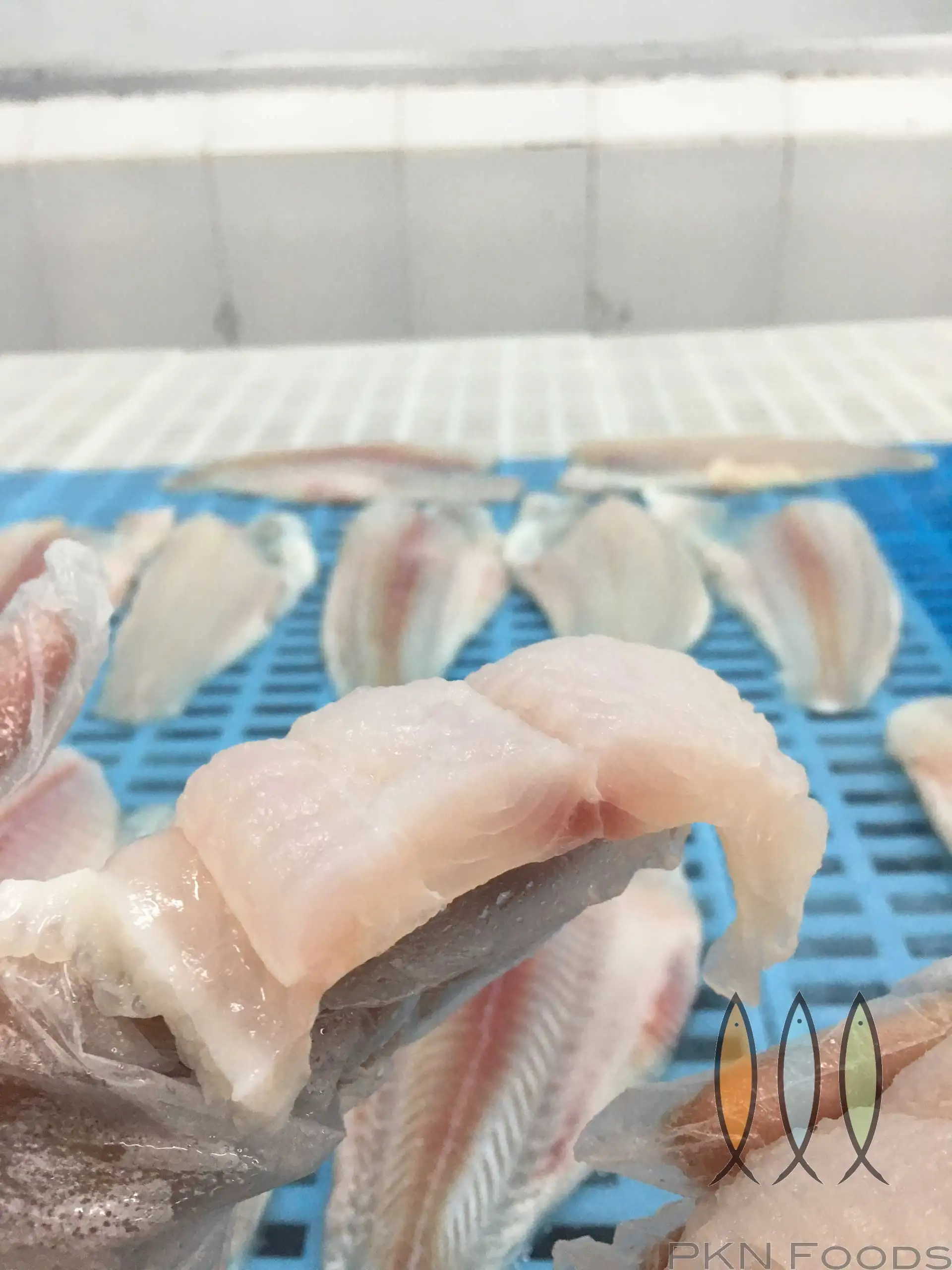 Bulk Supplier Package Customize Quality Cheap Price Shape with Skin frozen fish fillet Pangasius from Vietnam