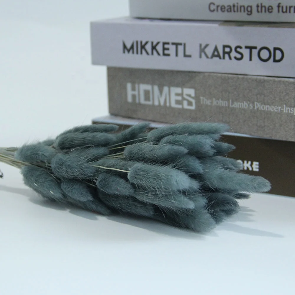 Preserved Dried Rabbit or Bunny Trail Grass Lagurus Ovatus Real Flower Colorful Grass For Home or Wedding Decoration Arrangement