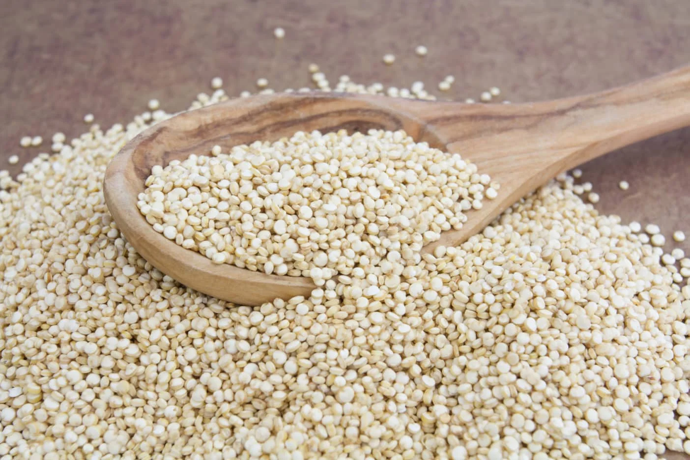 Direct Manufacturer Premium Quality Healthy Food Quinoa Best Supplier and Exporter From India At Low Price