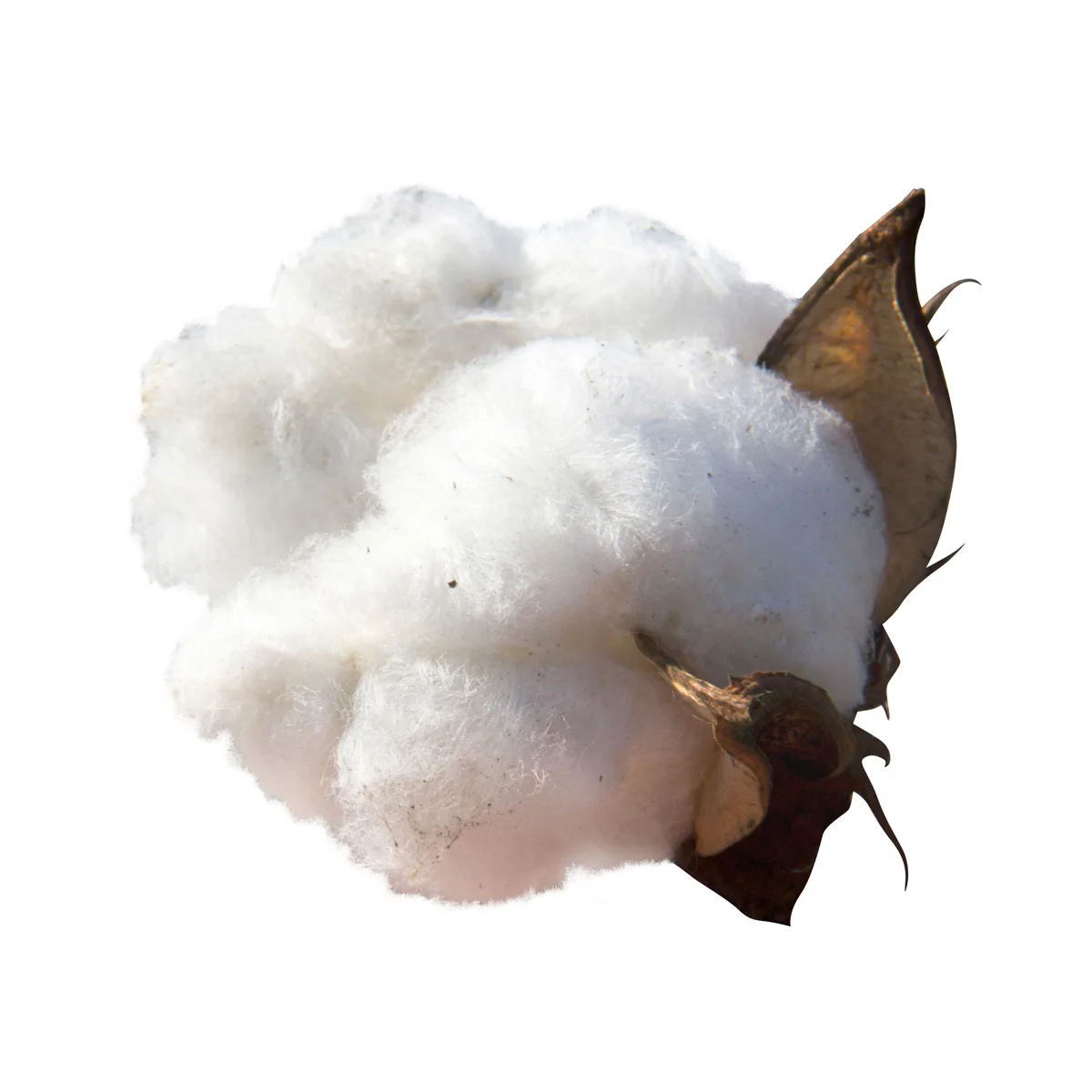 Good prices loose and sheets cotton cellulose for sale in bulk any grades cotton pulp for sale