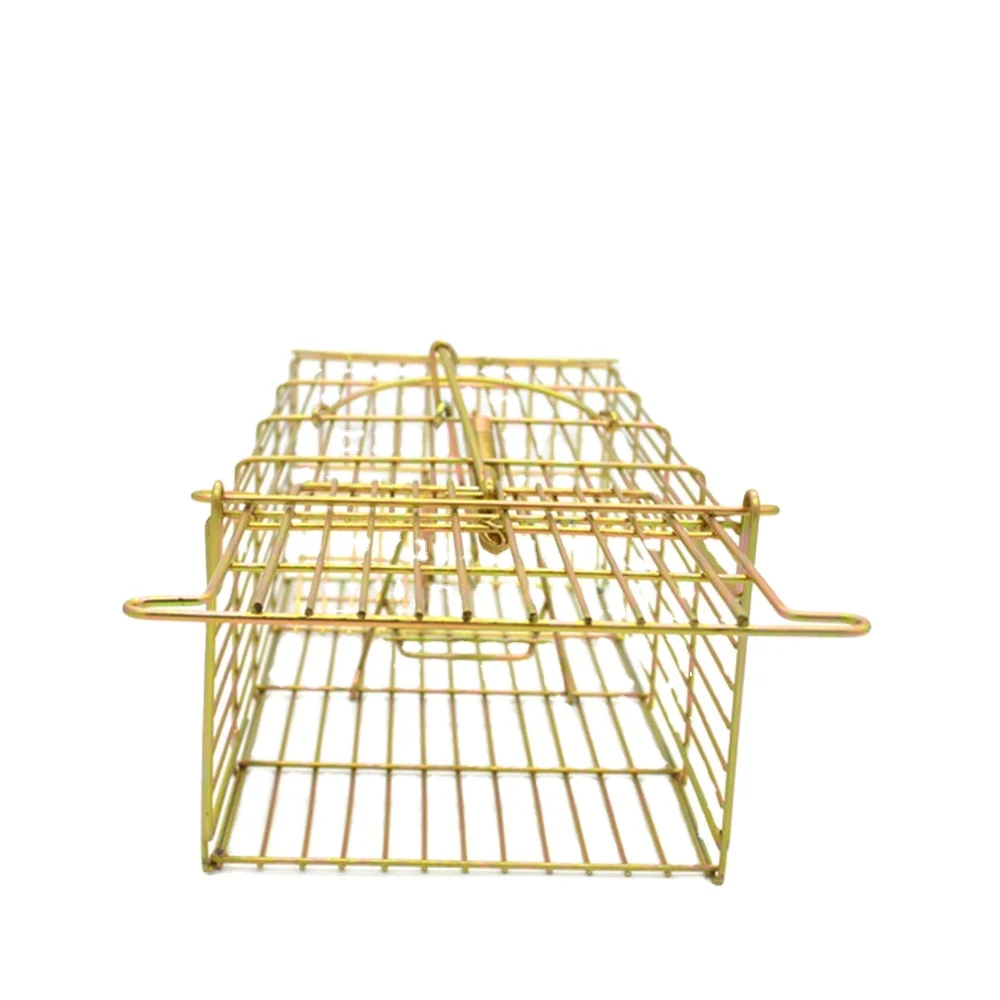 Новая модель гуманной крысиной клетки для борьбы с вредителями, оптовая продажа, гуманная ловушка для живых мышей, ловушка для животных