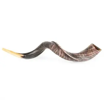 Wholesale Rams Horn Shofar Polished Handmade In India Silver Craft