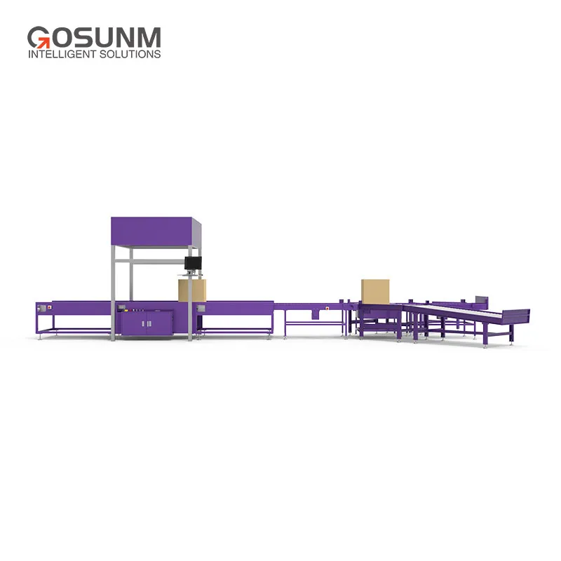 Zigzag Sorting System 3D Outfeeds DWS Scanning Weighing Warehouse And Storage Integrated Automation Belt Conveyor 3Pl Warehouse