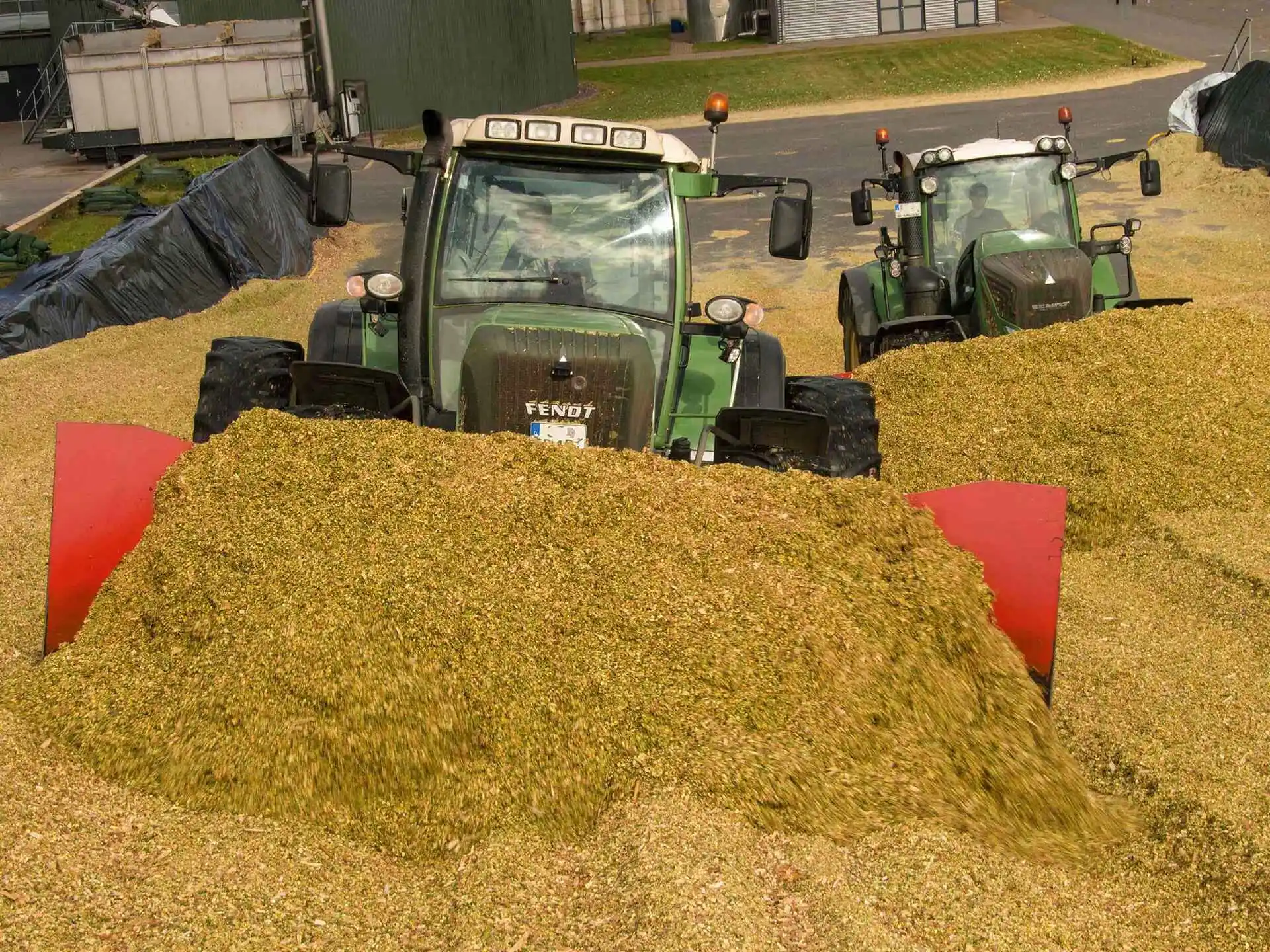 Packed silage bales available for export | Silage Experts Africa