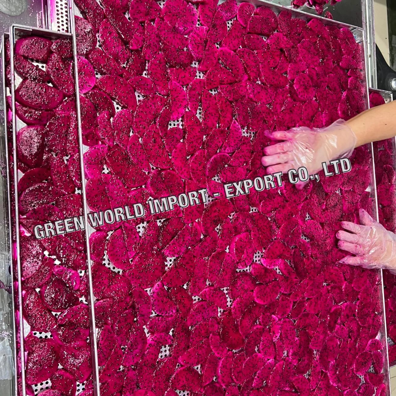 Хрустящие сушеные фрукты дракона из Вьетнама свежие чипсы питая 100% высокое качество и Лучшая