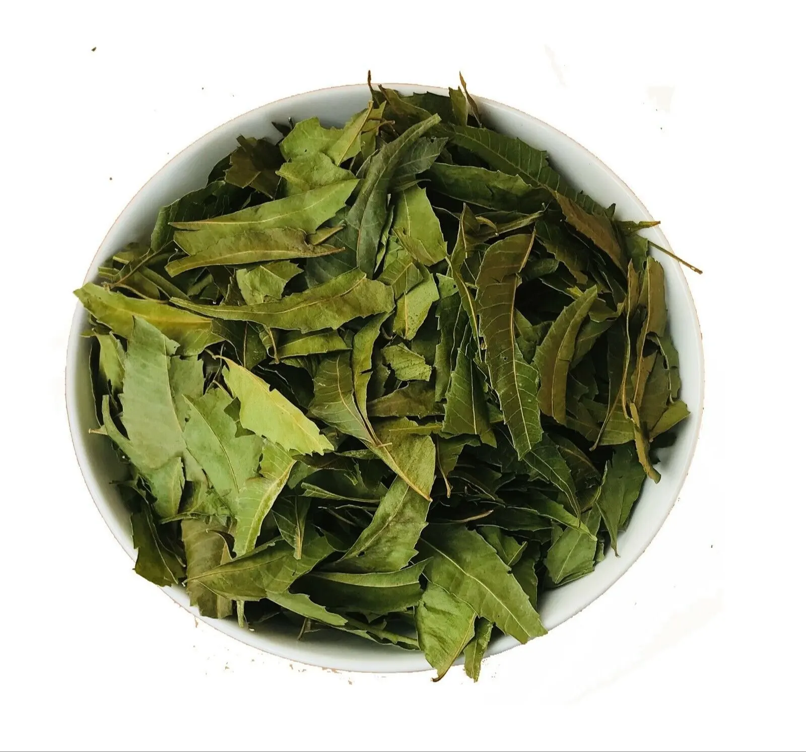 Neem Leaves Powder Azardiractha Indica Huile De Neem Indian Lilac Margosa Tree Margousier Nim Leaf