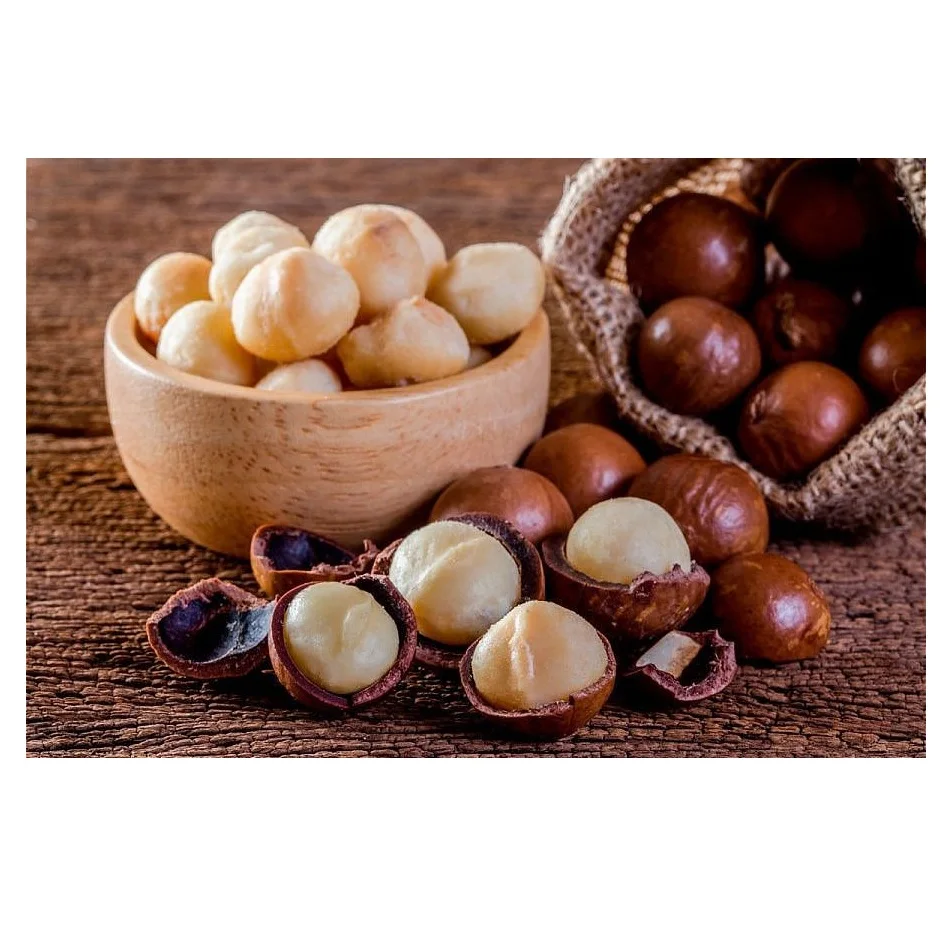 Roasted Macadamia Nuts High Nutrition From Vietnam
