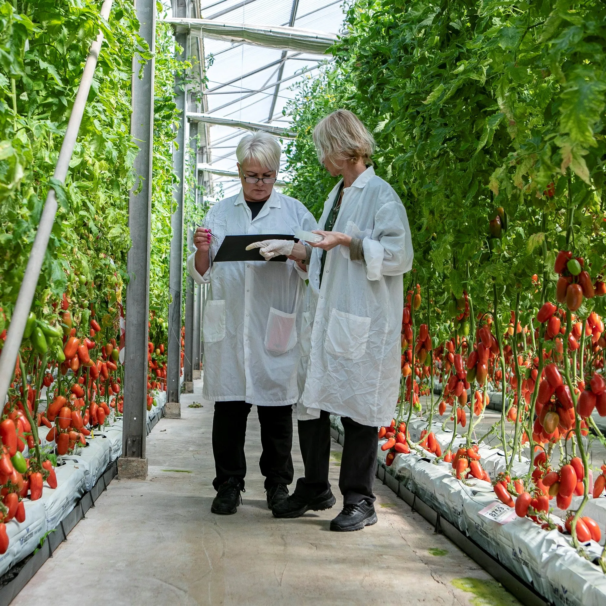 Sell Cocopeat Growbag 28L Microbiological Soil Nutrition Substrates Biochar Coir Mattress Tuff High Quality Brand Manufacturer