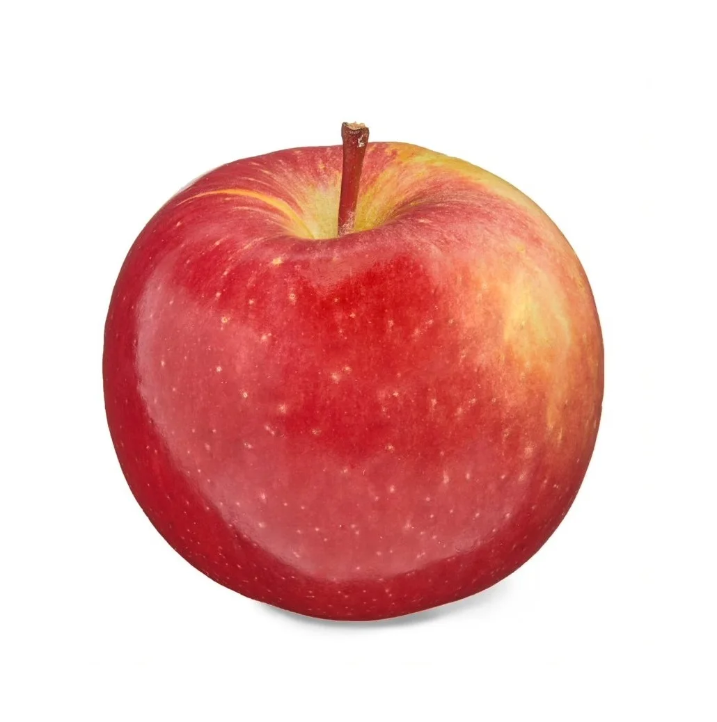Fresh Fruit Apples Available at Cheapest Price In Bulk Stock