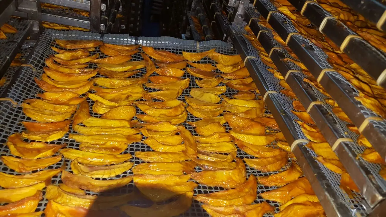 Dried Mango slices from Peru