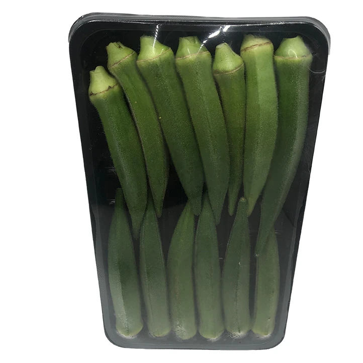 Premium Quality Imported Grade  Herb Temperature measuring Quality Selecting Fresh Galangal for Consuming Okra