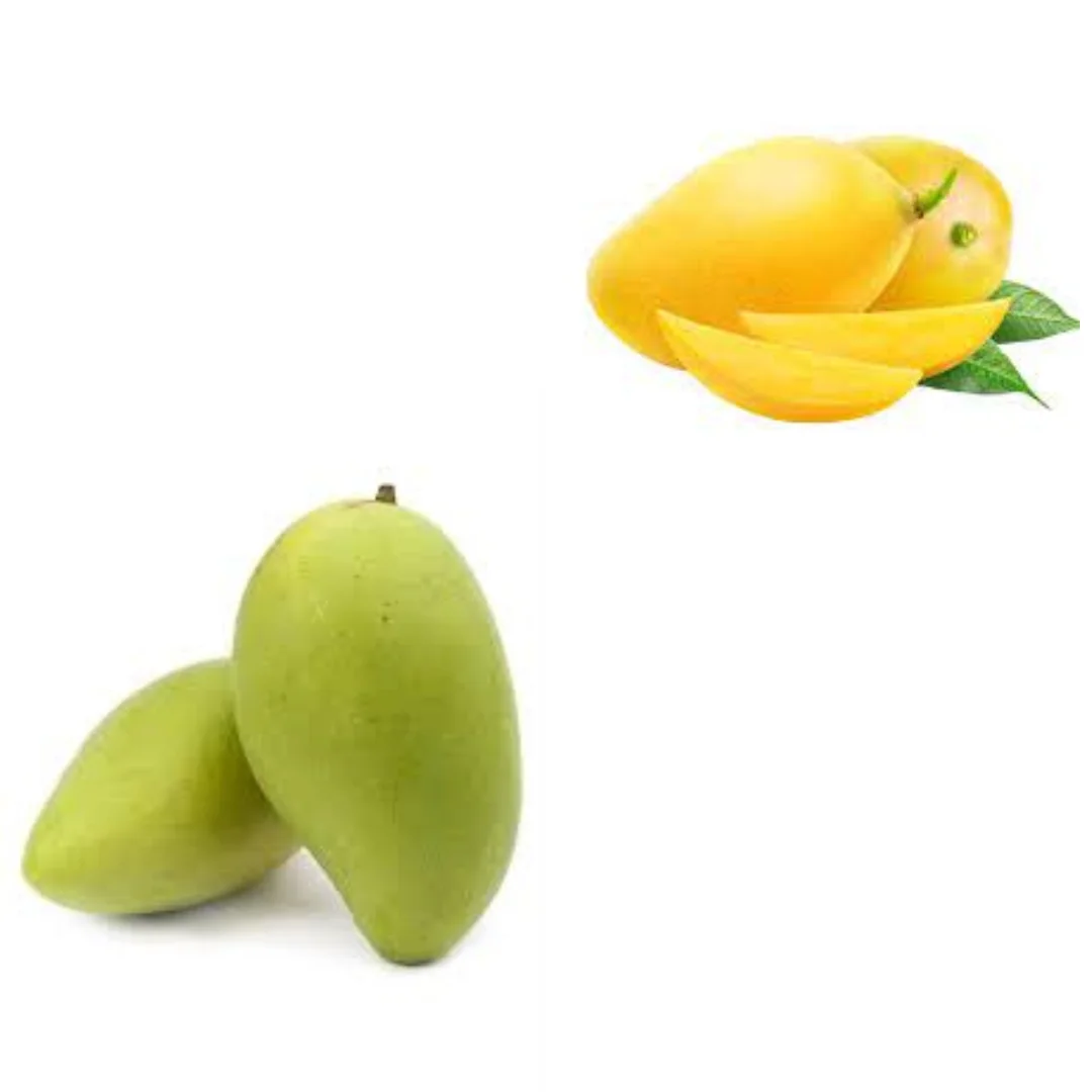 The Best Fresh Mango Fruit Tropical Fruit Sweet Taste Fresh Mangos Yellow Mango Green Mango Organic Fruit From VietNam