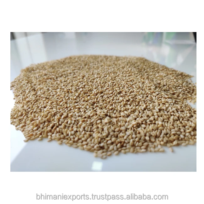 Premium and Best Quality White Sesame Seeds Wholesale for Human Consumption and Industrial Use