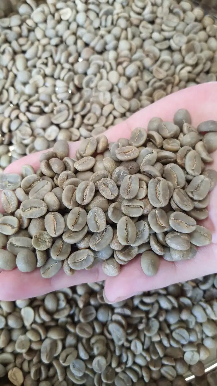 60kg Jute Bag Green Arabica Coffee Beans Sceen 16/18 From Best Coffee In Vietnam
