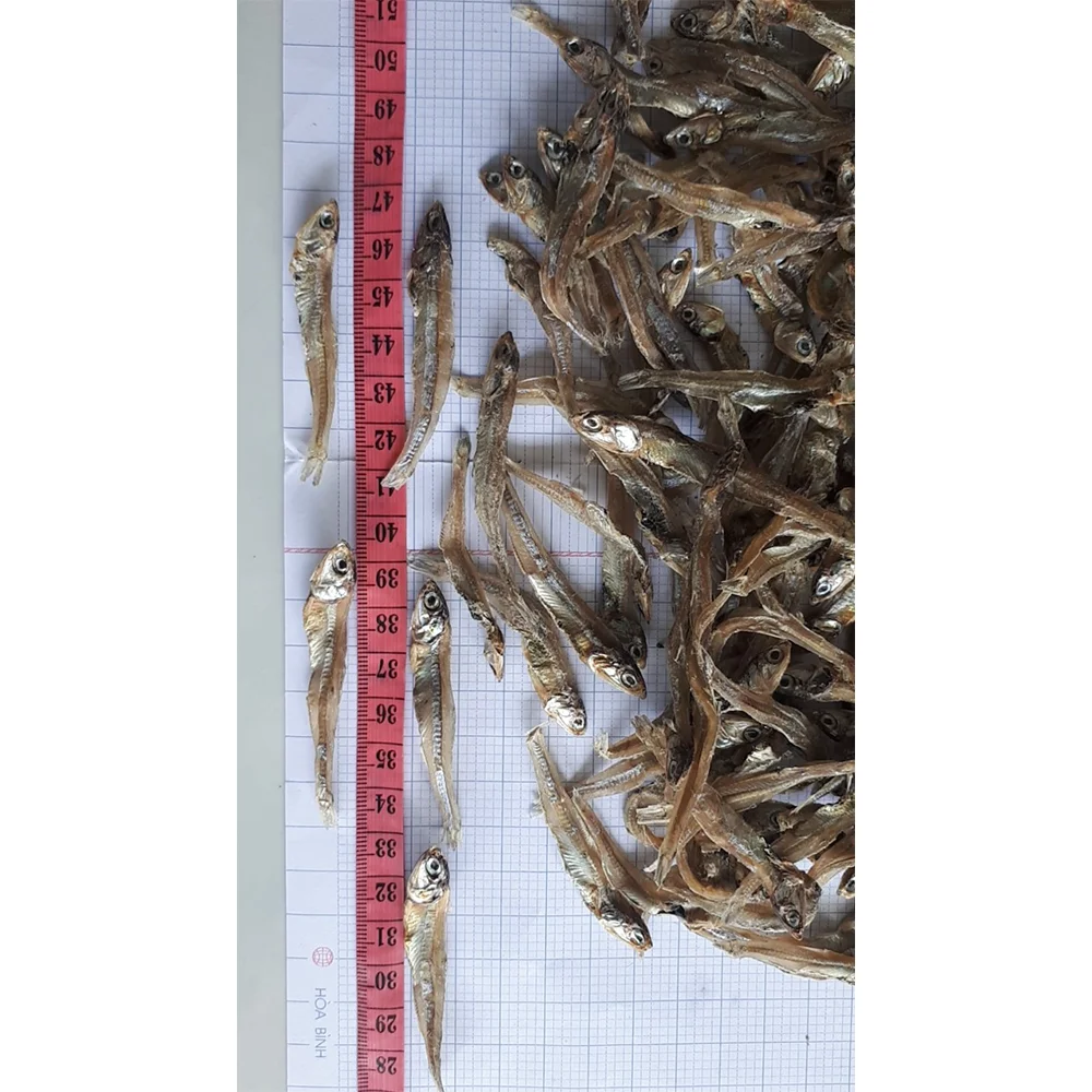Dried Anchovy Fish Dried Anchovies Packaging Organic Different Size Weight Customizable For Export In Bulk