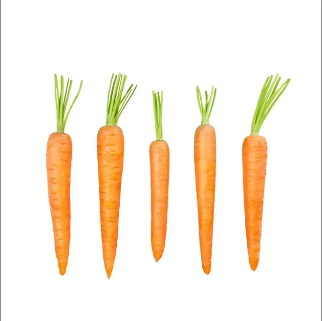 chinese fresh carrot S M L 2L 3L Shandong new crop Qingdao port
