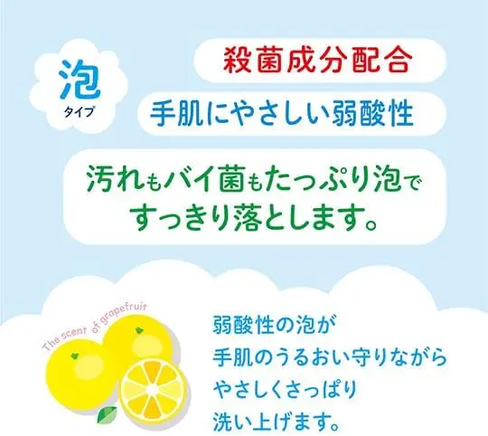 Wholesale Hand Soap Daiichi Medical Foam Hand Soap Refill 900 ml