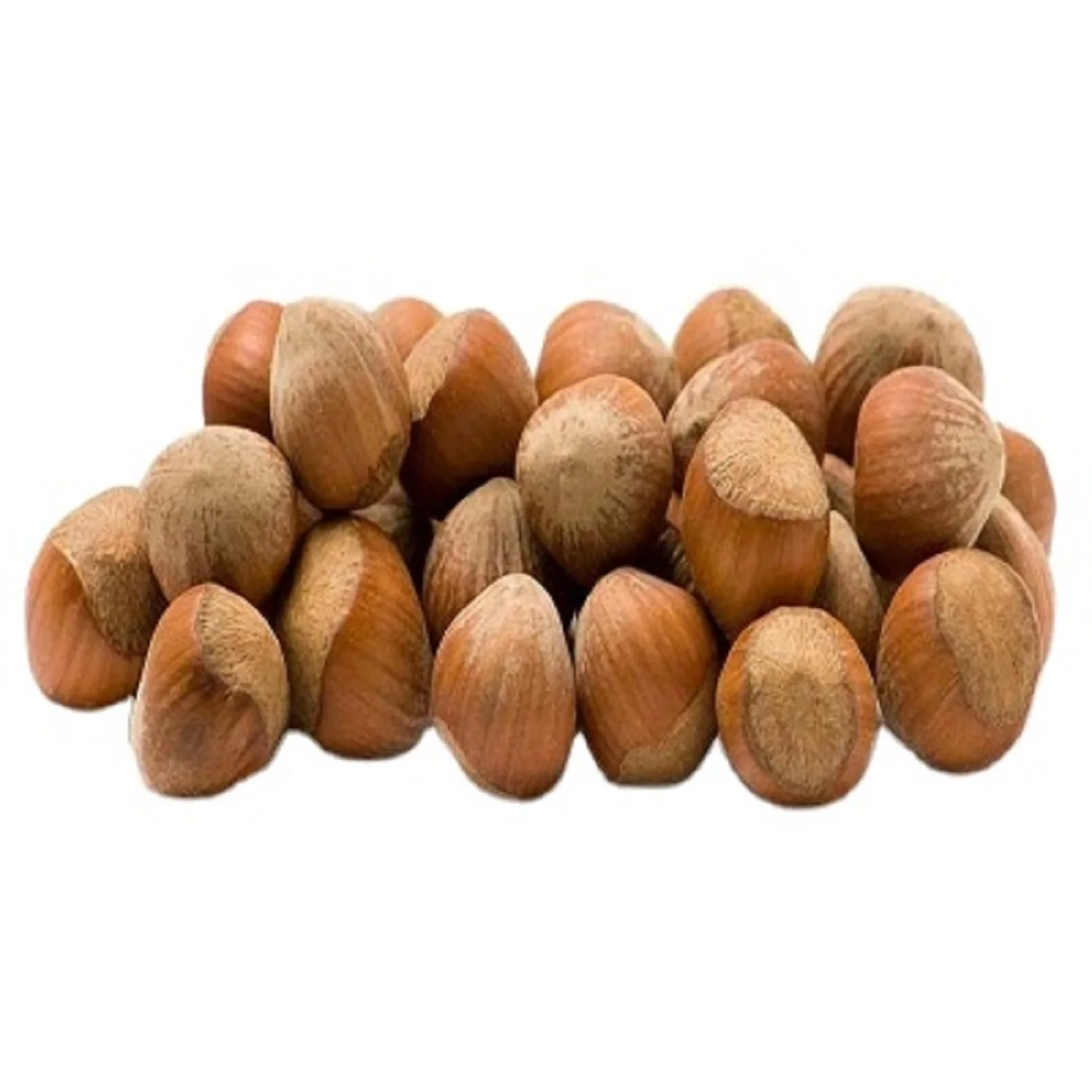 Raw Hazelnut Kernels In Shell organic Hazelnut 100% Natural Premium Quality hazelnut organic food color