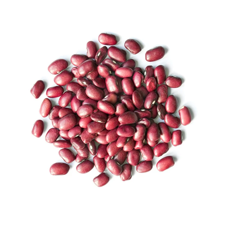 whole sale Vigna Adzuki Beans for sale