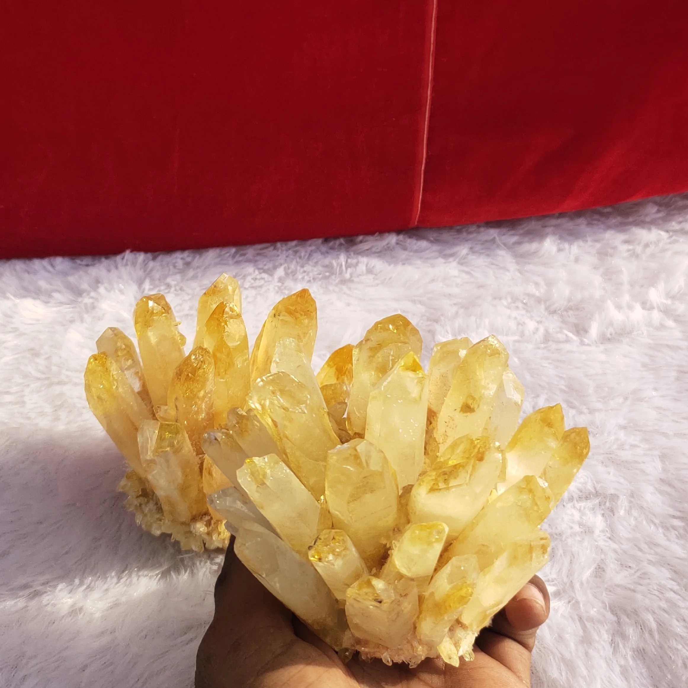 Beautiful natural citrine point clusters from depth of the sea for healing therapy or home/table/office decoration