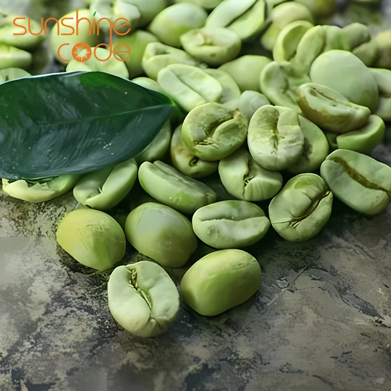 Sunshine Code Coffee Green Beans Arabica Raw Beans Price 60Kg Green Coffee Import With Free Sample
