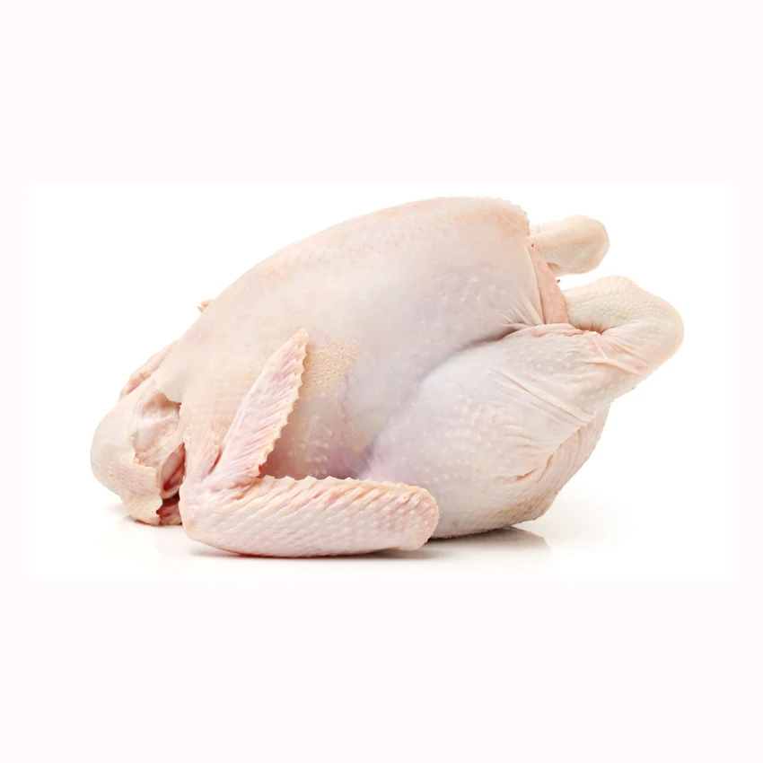Wholesale halal frozen whole chicken with and without giblets body chicken style packaging