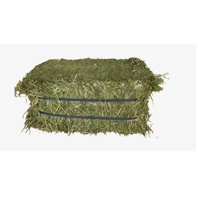 Alfalfa Hay Pellets For Animal Feed with Best Quality For Sale Bulk UK High Quality Pakistani Lush Green Moisture Controlled