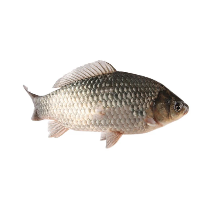 Carbon rod the fishing rod for big fish telescopic carp rod