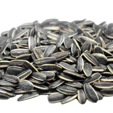 Best Quality Sunflower Seed Top Quality A Grade Hybrid Turkish Sunflower Seeds Organic Sunflower Agrowell Turkish Goods