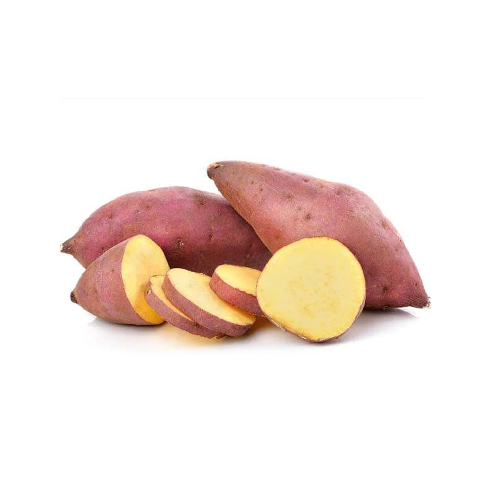 Fresh Sweet Potato Yellow And Purple Sweet Potato From austria High Quality New Crop For Sale