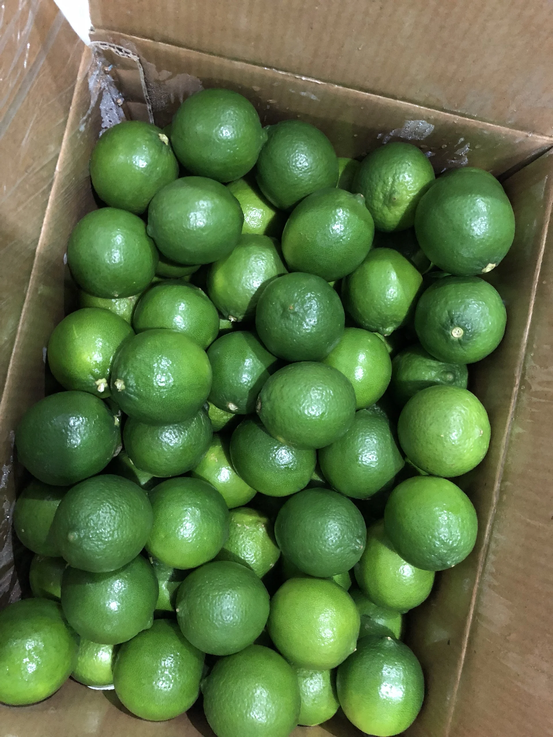 FRESH green LIME  BEST PRICE from Vietnam, call  +84963818434 whatsapp