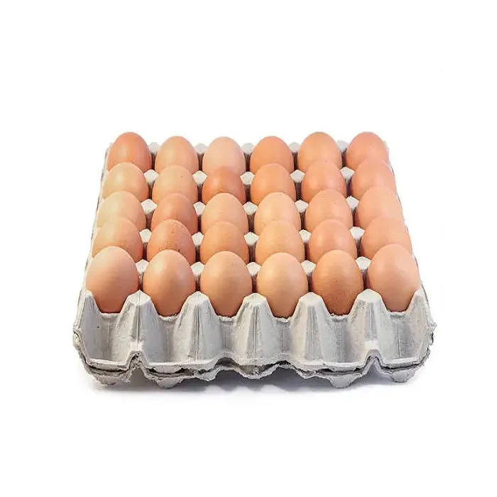 FRESH CHICKEN EGG FROM THAILAND FOR EXPORT