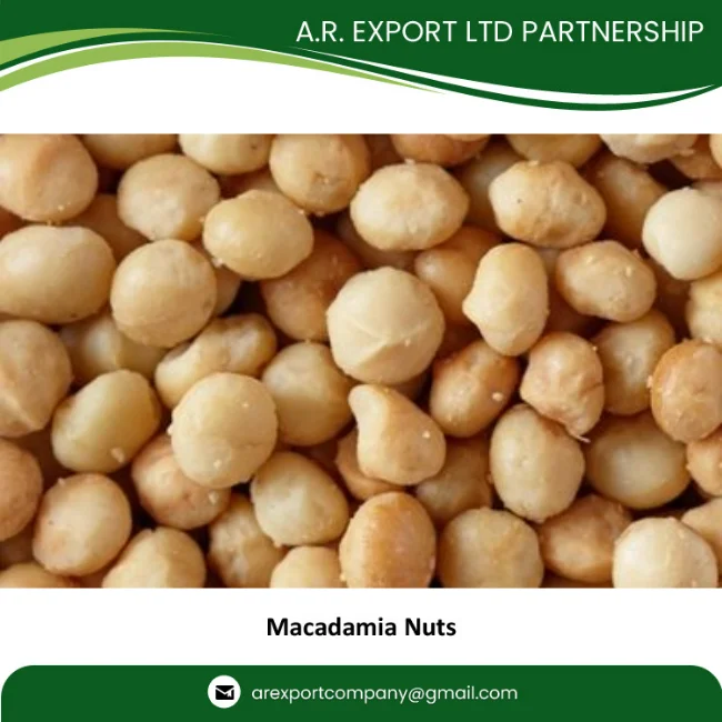Macadamia Nuts, Roasted Macadamia, Organic Macadamia Nuts Available in Huge Quantity with Export Grade AA Packaging